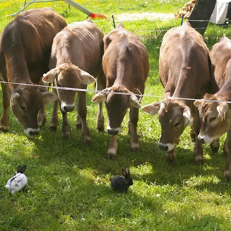 Feriegård Boeglhof Stumm