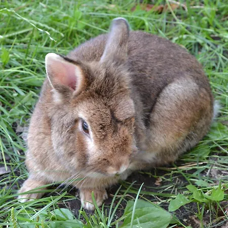 Boeglhof Farmház Stumm