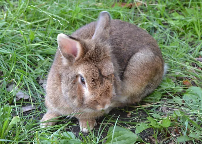 Boeglhof Farmház Stumm