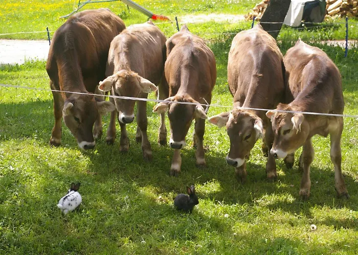 Farmház Boeglhof Stumm